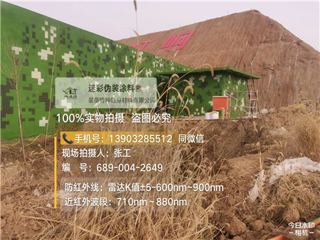 南岸星空迷彩墙施工队